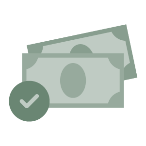 Money icon