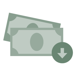 Money icon